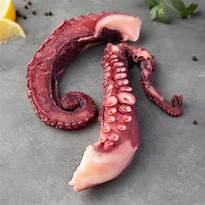 深海魷魚鬚 Giant Squid leg 200g