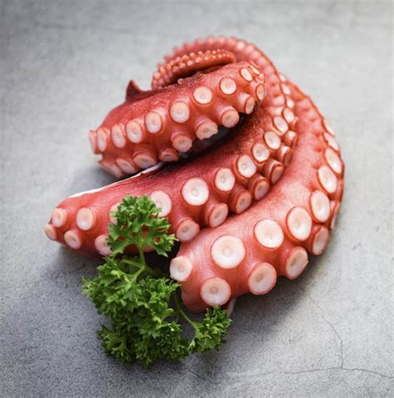 深海魷魚鬚 Giant Squid leg 200g