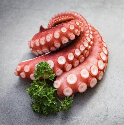 深海魷魚鬚 Giant Squid leg 200g