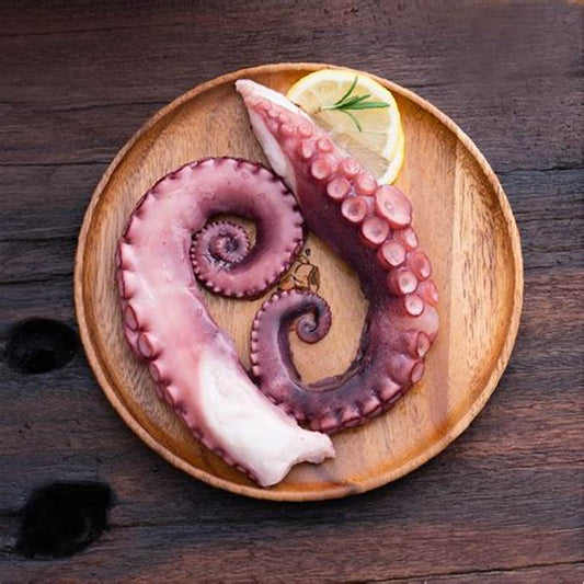 深海魷魚鬚 Giant Squid leg 200g
