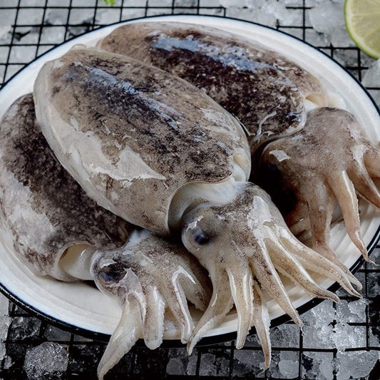 Cuttlefish 墨鱼(Completely Cleaned and Sliced  已切片)200g